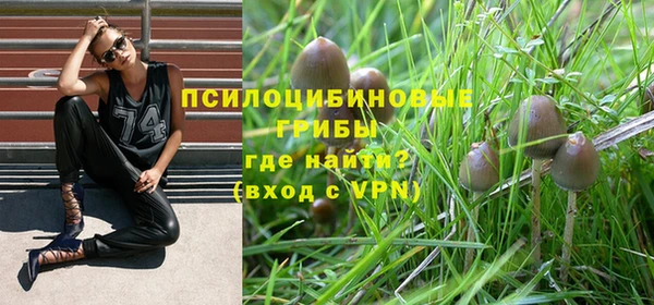 мескалин Кукмор