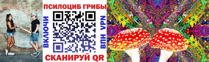 Псилоцибиновые грибы MAGIC MUSHROOMS Брюховецкая