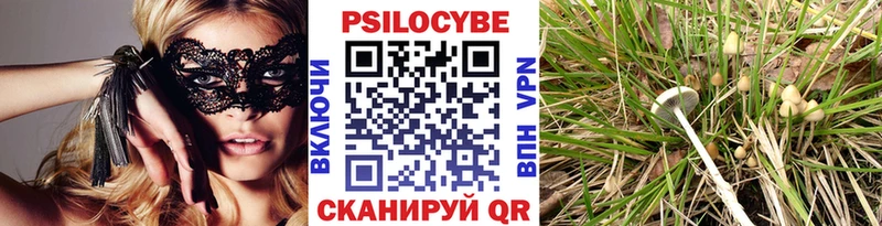 Псилоцибиновые грибы GOLDEN TEACHER Брюховецкая